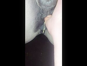 Woman and Horse: An Intense Moment