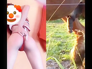 Woman and horse in a shocking zoophilic collage