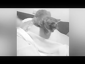 Woman and pussy having fun together