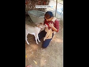 Woman breastfeeding a calf