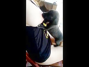 Woman breastfeeding a puppy 8