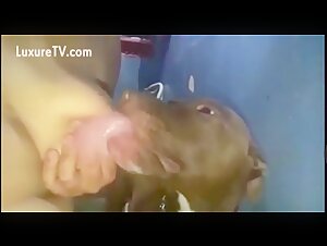 Woman Breastfeeding Dog in Bathroom - Rare Full Video