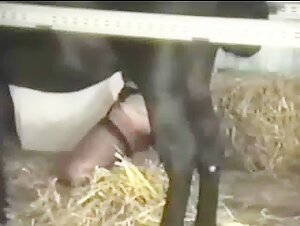 Woman experiences intense orgasm with horse