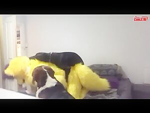 Woman fucked by dog   dressed in fur suit