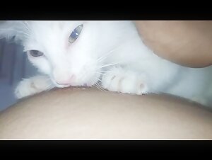 Woman gives milk to a dog