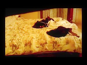 Woman masturbates with the help of her Dog!