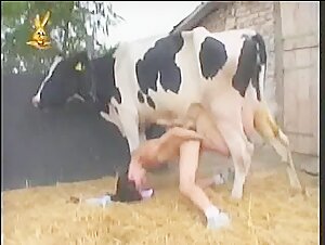 Woman milking and copulating with a cow