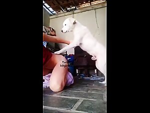 Woman offers her anus to her dog