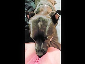 Woman relieves herself when licked by a dog