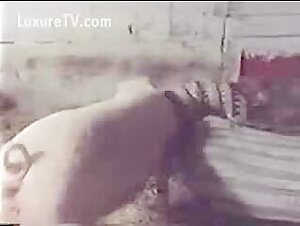 Woman seduced by a pig