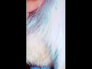 Woman subjected to the ecstasy of an erupting canine penis