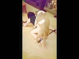 Woman submissive and soiled by a dog