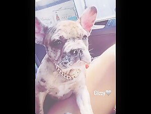 Woman submissive to her dog (IG: meli07)