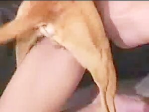 Woman warming up with her pet vol 2