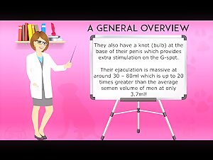 Women and dogs: introduction to bestial eroticism