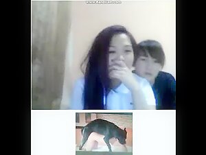 Women react to bestiality videos