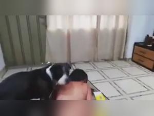 XXX Hardcore: Latina Delights in a Bestial Kiss