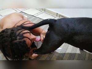 XXXZOO - Fun Bestiality with Women