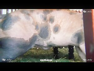 Yasmin and her bestial love