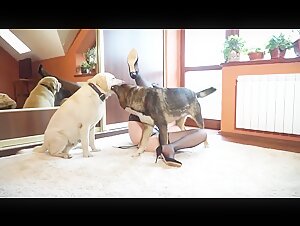 Yasmin and her two canine companions