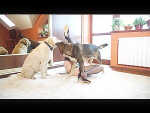 Yasmin - Mating and Feeding