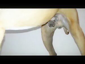 Young Latina and her dog