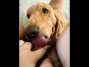 Young whore fucks with her dog solo house