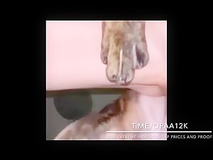 Young woman and her dog having fun together