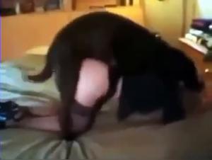 Zo Battle: Damn and his dog