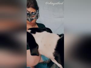 Zoo Bestialities: Key Moments