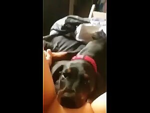 Zoo Dog - A woman and her dog