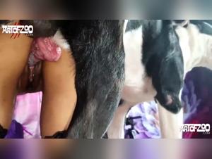 Zoo pornic park plan