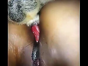 Zoo revelations wild and uncontrollable sex