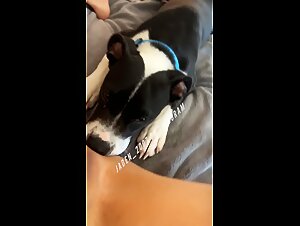 Zoofilia - Animal Slut