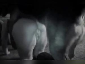 Zoofilia Hardcore: Bestial Desires Realized