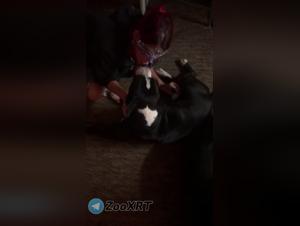 ZOOFILIA Tube: PROIBIDOS Fantasies