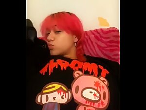 Zoolink is passionate about the bunny and his horse