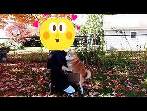 Zoological Pornographic Videos with Women