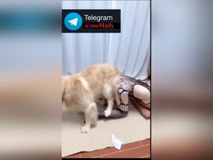 Zoophile Asian enjoyment: Intense canine slavery