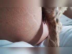 Zoophile: feminine and animal lover - bestialityporn