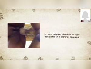 Zoophilia Anatomia: the sensual arte del cane e donna