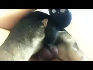 Zoophilia Babysitter: animal orgasms and devoured secrets