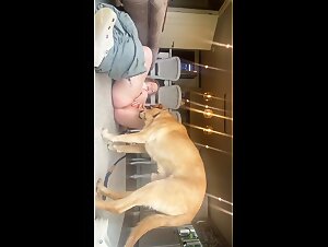 Zoophilia Deluxe: Mayonnaise & animal debauchery