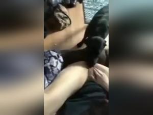 Zoophilia Deluxe: the delicious art of feline domination