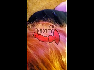 Zoophilia: Dog lovers in their hour of glory - Dog sex bestiaries XXX