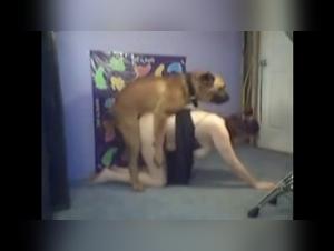 Zoophilia Live: Forbidden Delights Within Your Reach