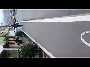 Zoophilia - Slutty Dog in Public