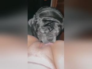 Zoophilia: uncontrollable animal desire