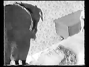 Zoophilia Video: A Very Well Hung Dog