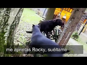 Zoophilic Exhibitions with Veronica and her Crazy Runaway Dog Scarf